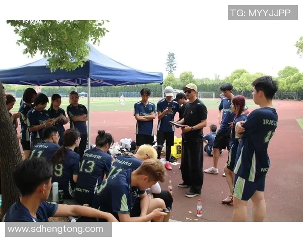 杭州飞盘队实力分析与赛季表现评估的全面探讨